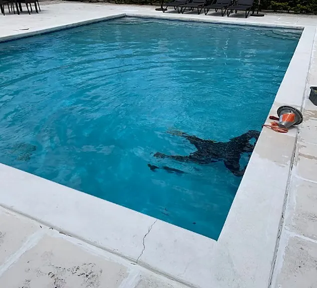 Technician working underwater in a swimming pool during a leak detection inspection