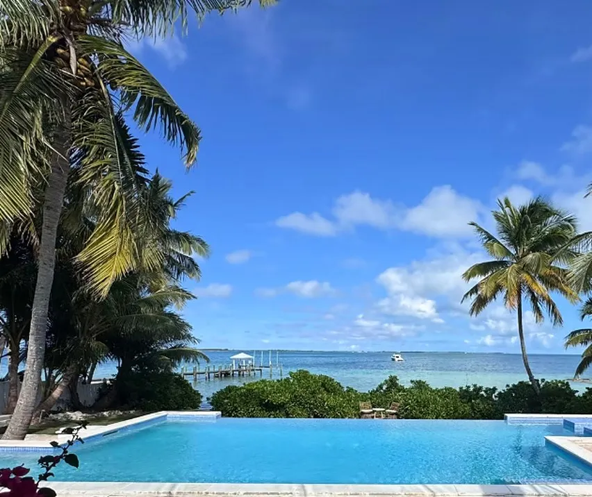 Infinity edge swimming pool built by Aquatech looking out over turquoise Bahamian water, framed by palm trees