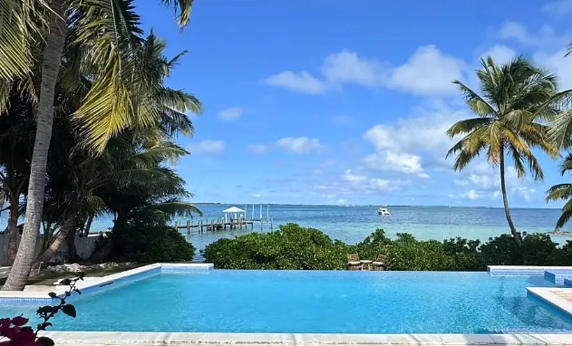 Infinity edge swimming pool with a clean tiled waterline, looking out over the ocean between palms